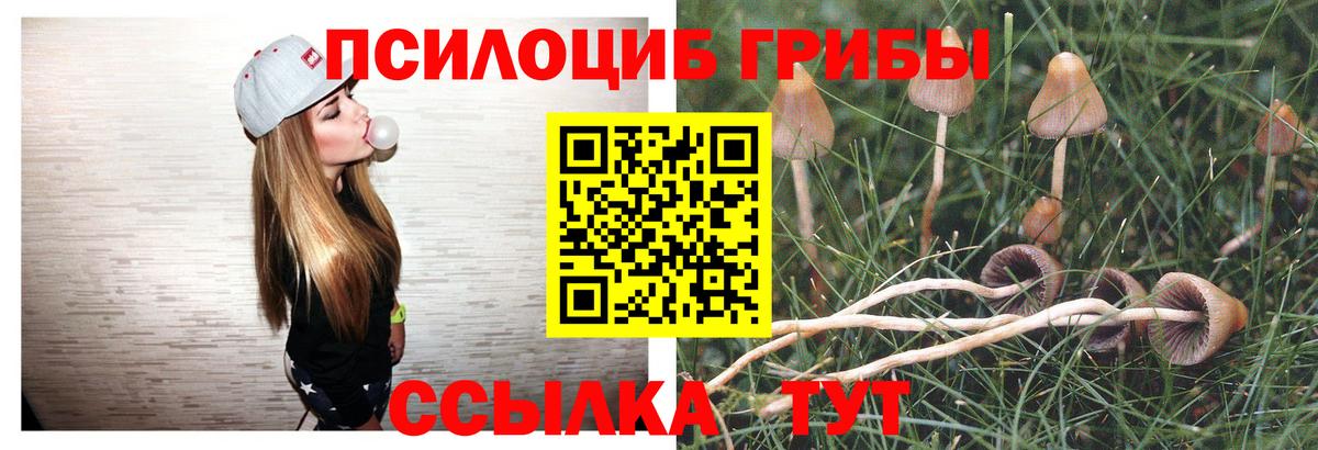 Псилоцибиновые грибы мицелий  Галлюциногенные грибы GOLDEN TEACHER  Вход с VPN  Комсомольск-на-Амуре 