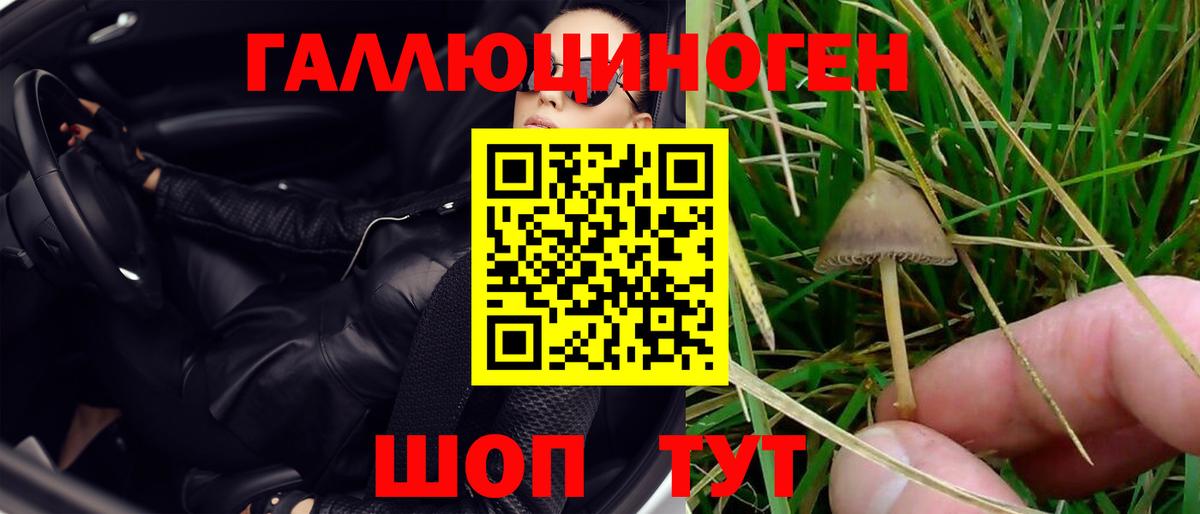 Псилоцибиновые грибы Magic Shrooms Комсомольск-на-Амуре